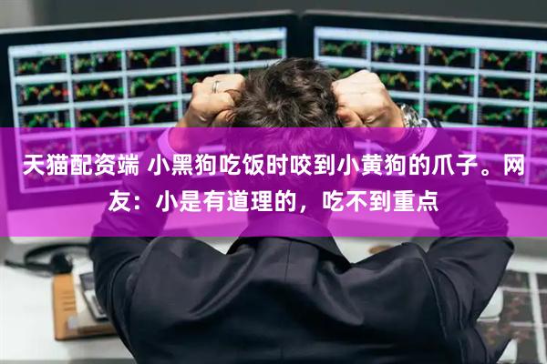 天猫配资端 小黑狗吃饭时咬到小黄狗的爪子。网友：小是有道理的，吃不到重点