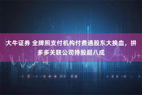 大牛证券 全牌照支付机构付费通股东大换血，拼多多关联公司持股超八成