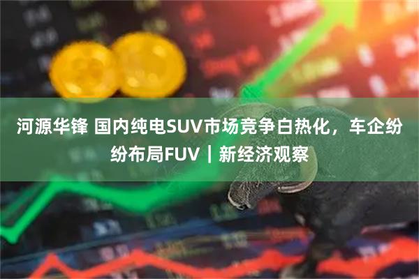 河源华锋 国内纯电SUV市场竞争白热化，车企纷纷布局FUV｜新经济观察